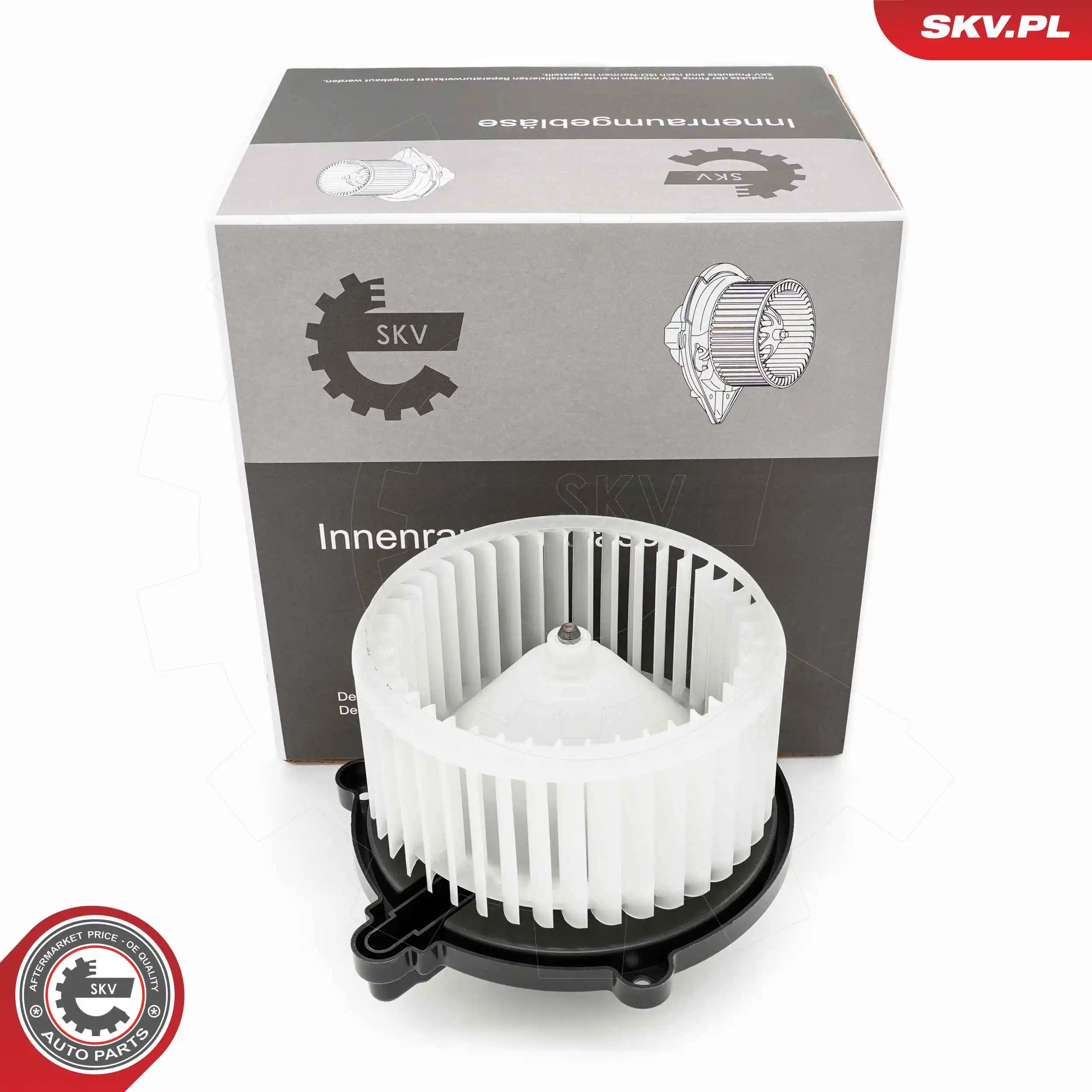Interior Blower